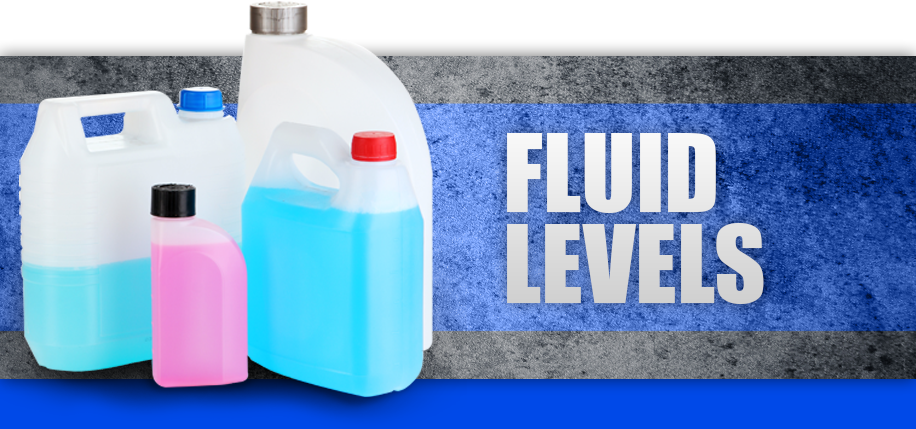 Fluid Levels Ray's Muffler Service Bountiful Utah Engine Fluid